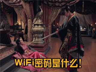 张彬彬微信表情包之WiFi密码