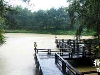 择天记场景图溪水湖畔朦胧细雨桌面壁纸