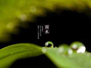 雨水节气-唯美的小水珠壁纸图片