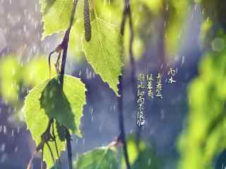 雨水节气-唯美古诗句图片