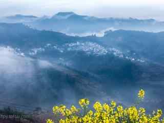 山林间云雾缭绕油菜花桌面壁纸