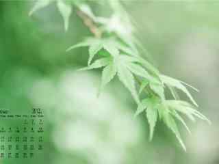 2017年9月日历绿色清新植物桌面壁纸