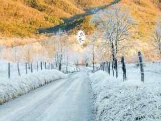 唯美雪景桌面壁纸