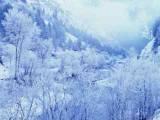 唯美雪景桌面壁纸