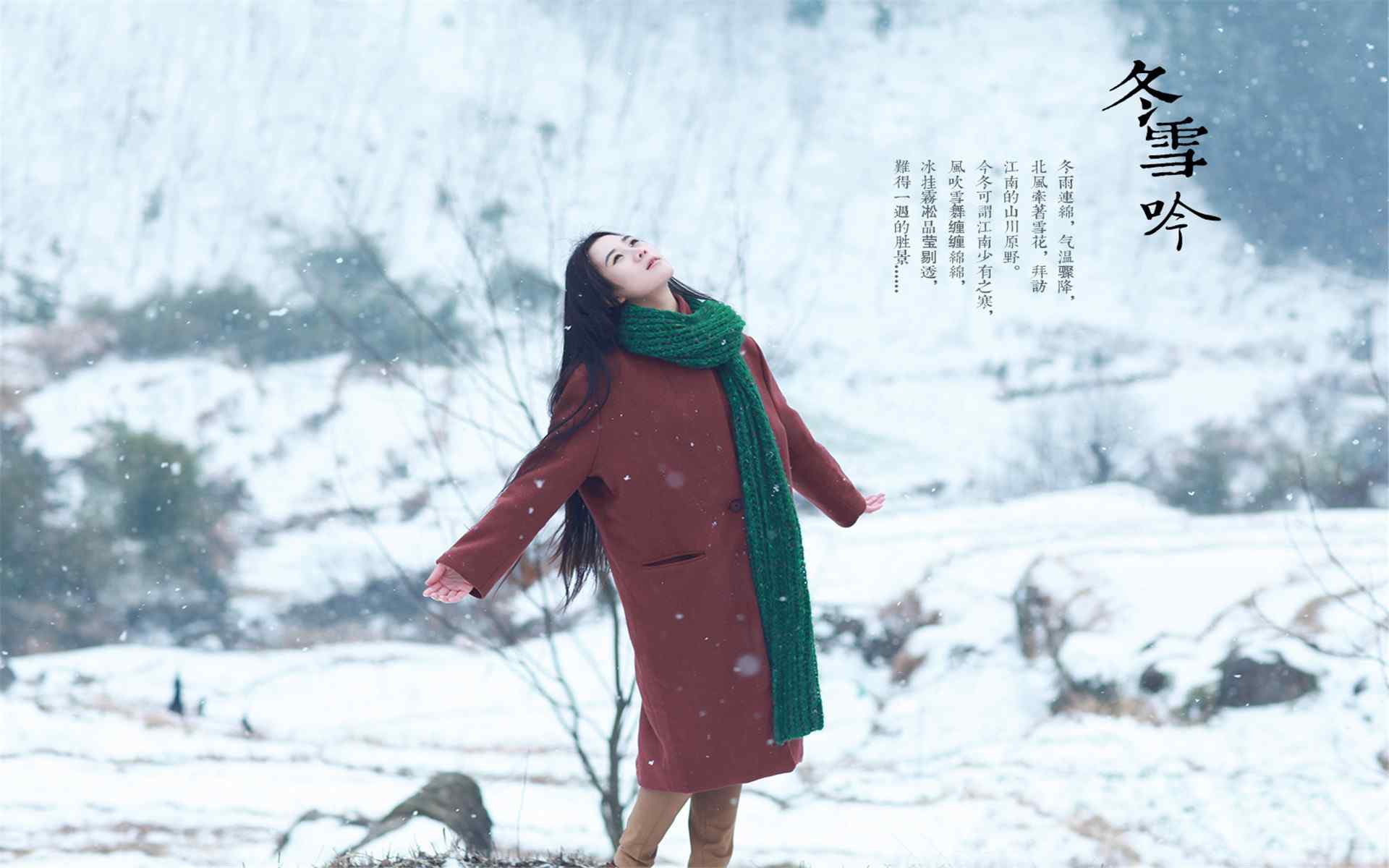 唯美雪景桌面壁纸高清下载：冬雪吟 天望