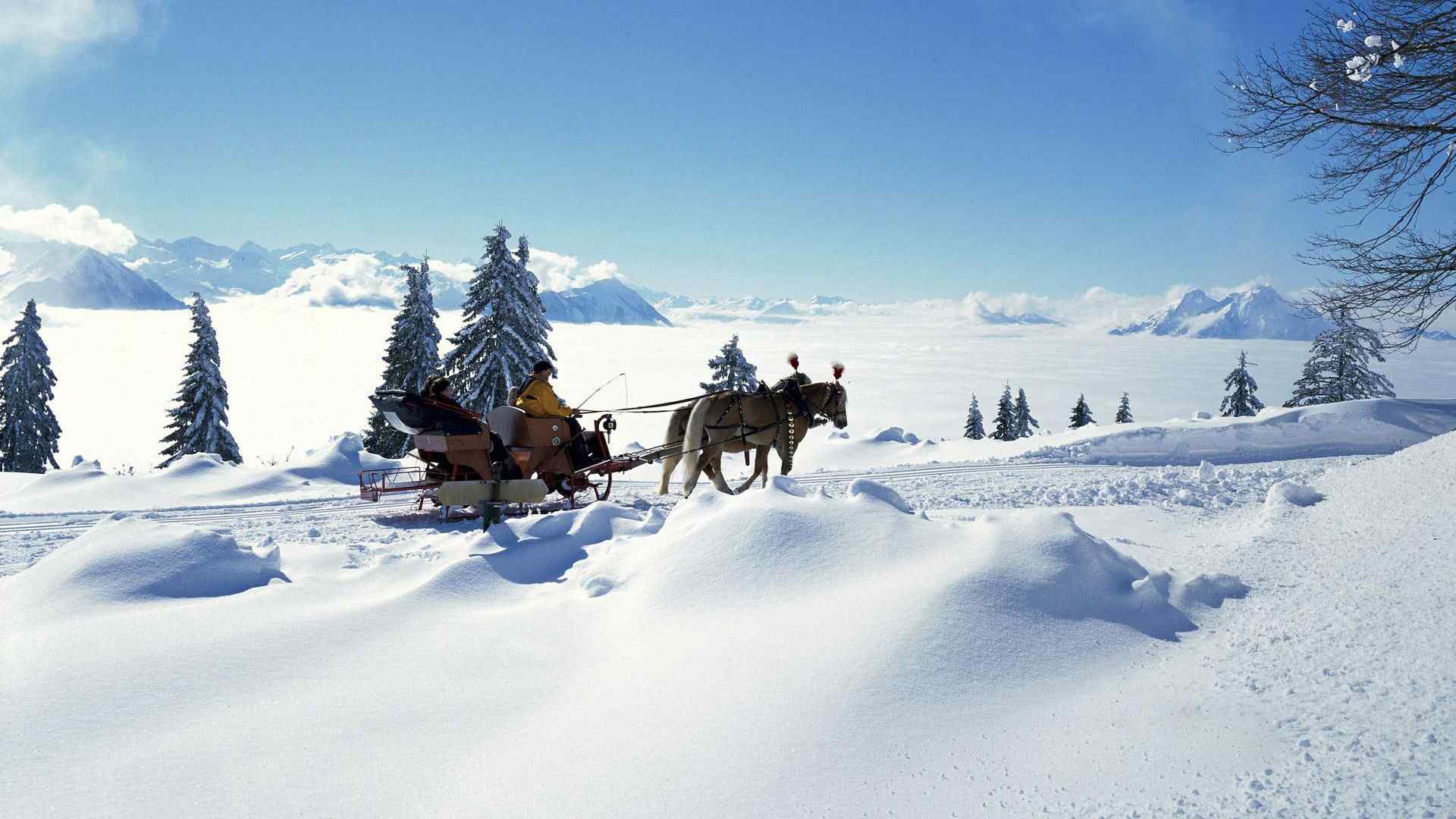 唯美雪景桌面壁纸高清下载：圣诞老人的飞车被偷了