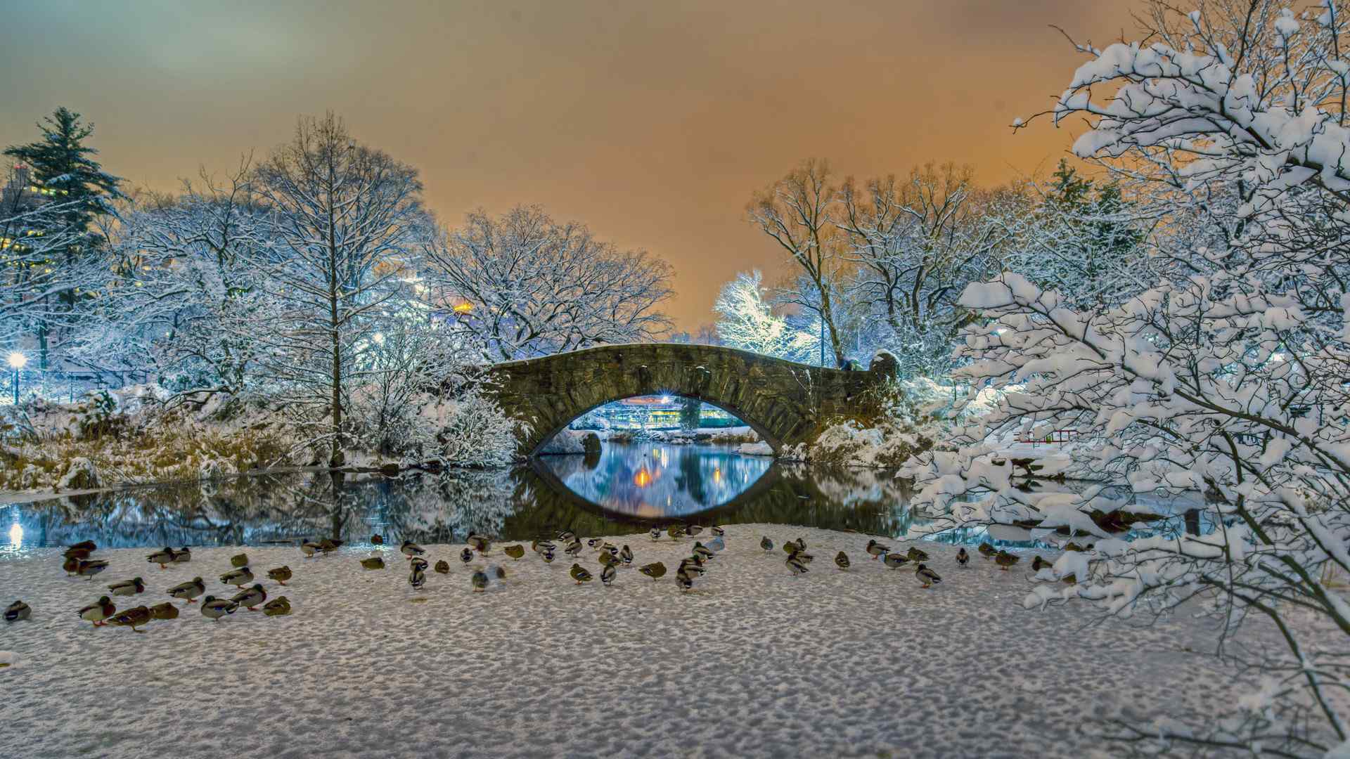 唯美风花雪月桌面壁纸 第十辑