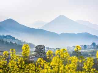 中国五大文艺之都三月的婺源