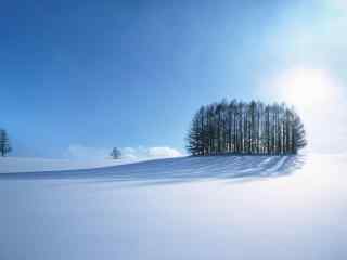 雪国北海道唯美雪景桌面壁纸