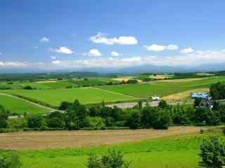 夏季北海道绿色田园风光桌面壁纸