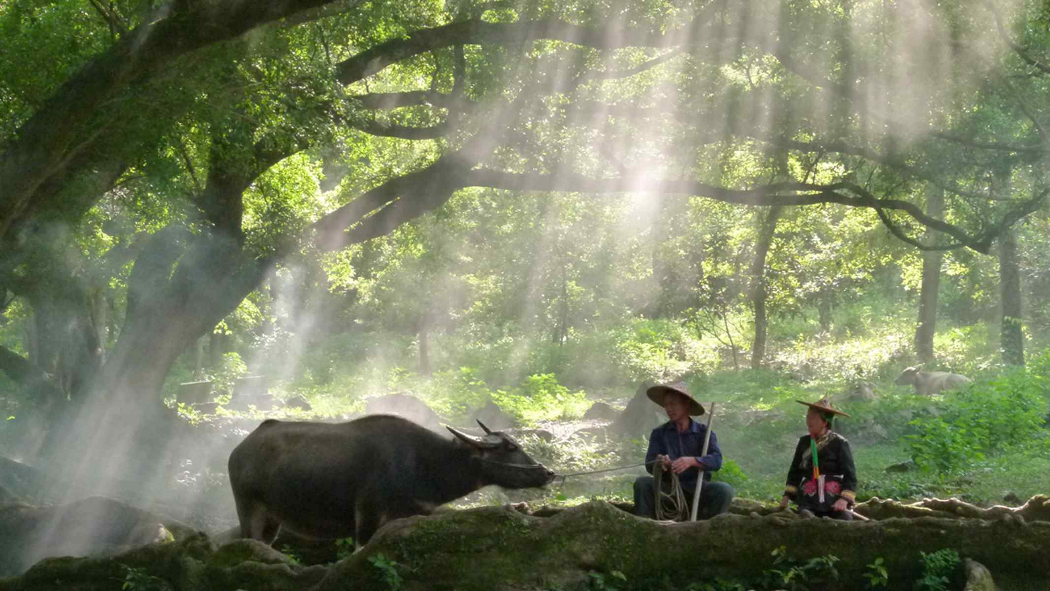 福建霞浦质朴生活摄影桌面壁纸5