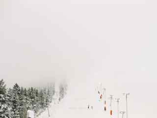 纯白雪雾中的芬兰滑雪场桌面壁纸