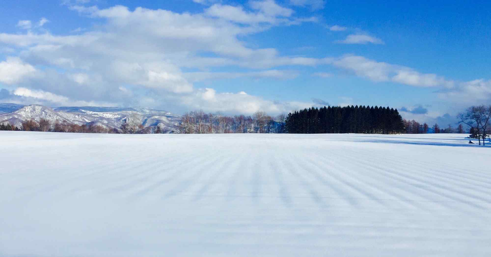 静谧唯美的北海道雪场桌面壁纸