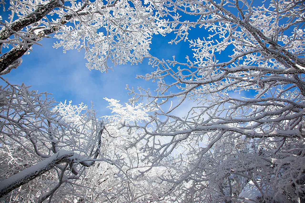 黄山唯美清新雪景桌面壁纸