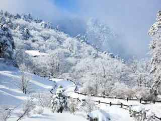 黄山栈道雪景桌面壁纸