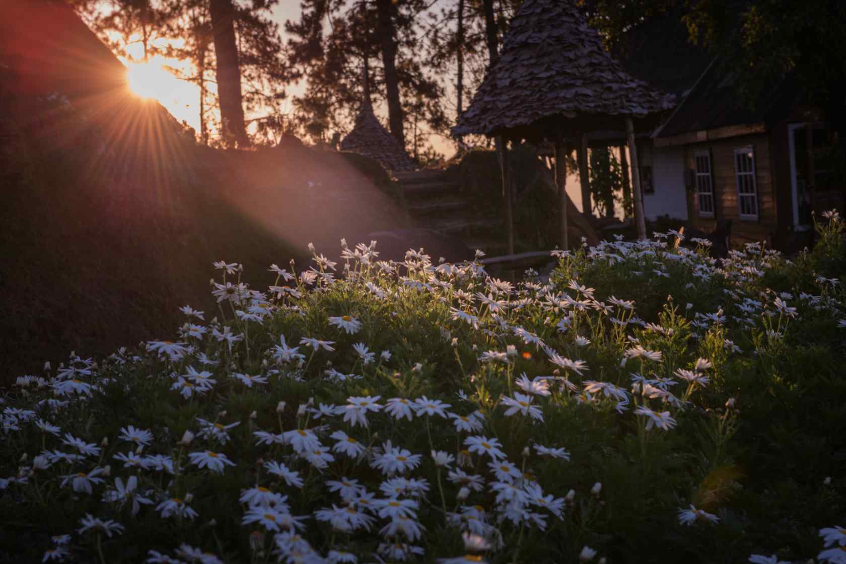 清迈拜县唯美日出风景壁纸桌面壁纸