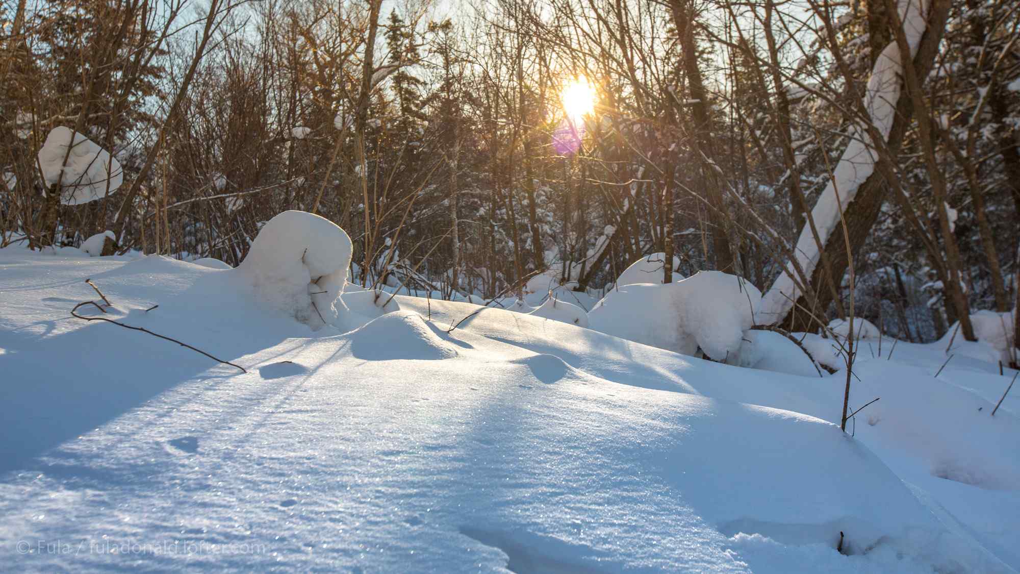 长白山清新唯美的雪景桌面壁纸