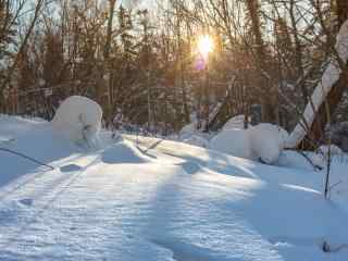 长白山清新唯美的雪景桌面壁纸