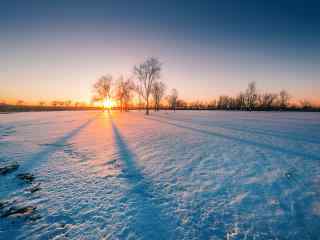 静谧夕阳下的雪景桌面壁纸