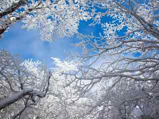 小清新山间雪景桌面壁纸