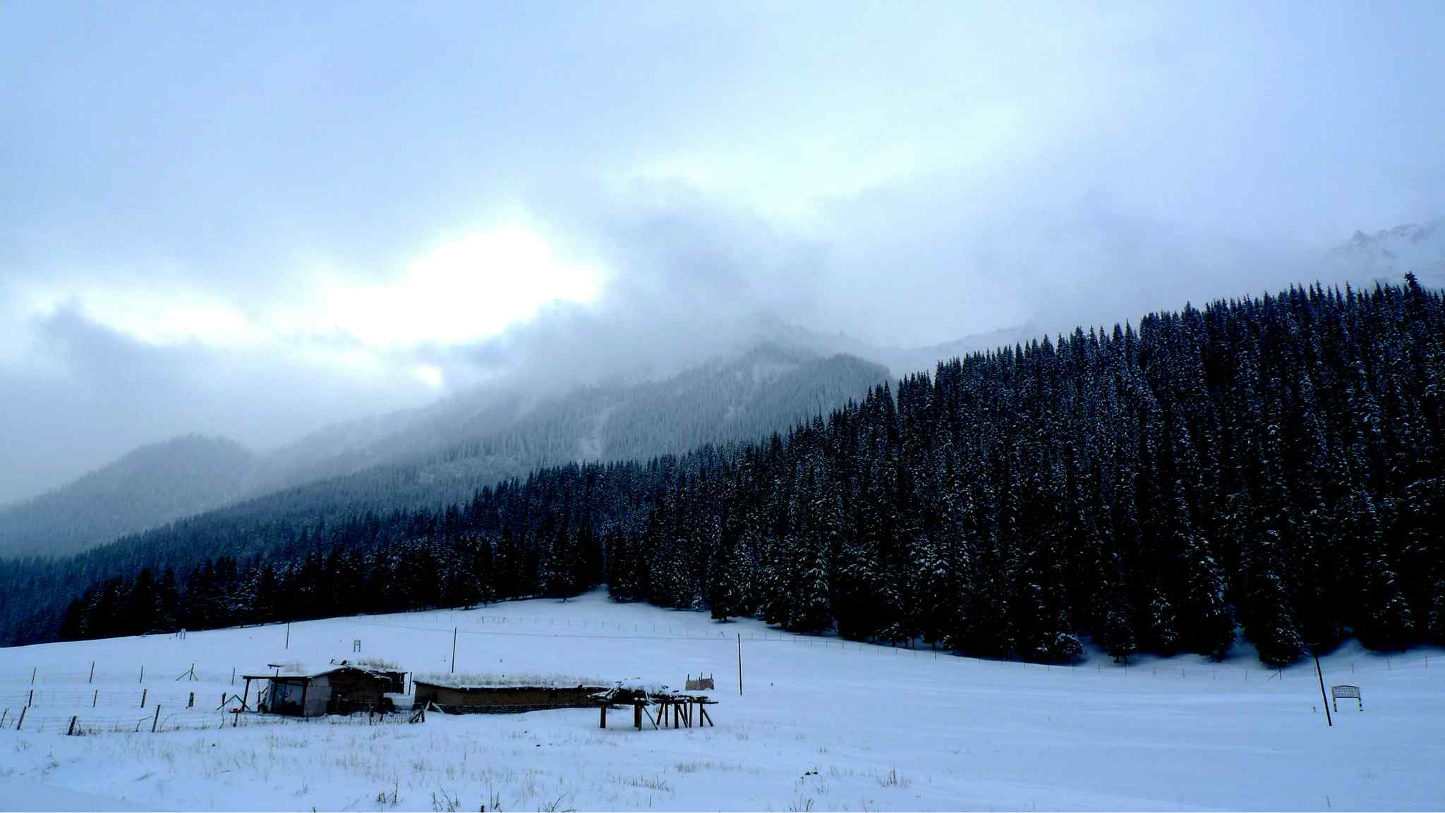 天山唯美的林海雪原风景图片桌面壁纸