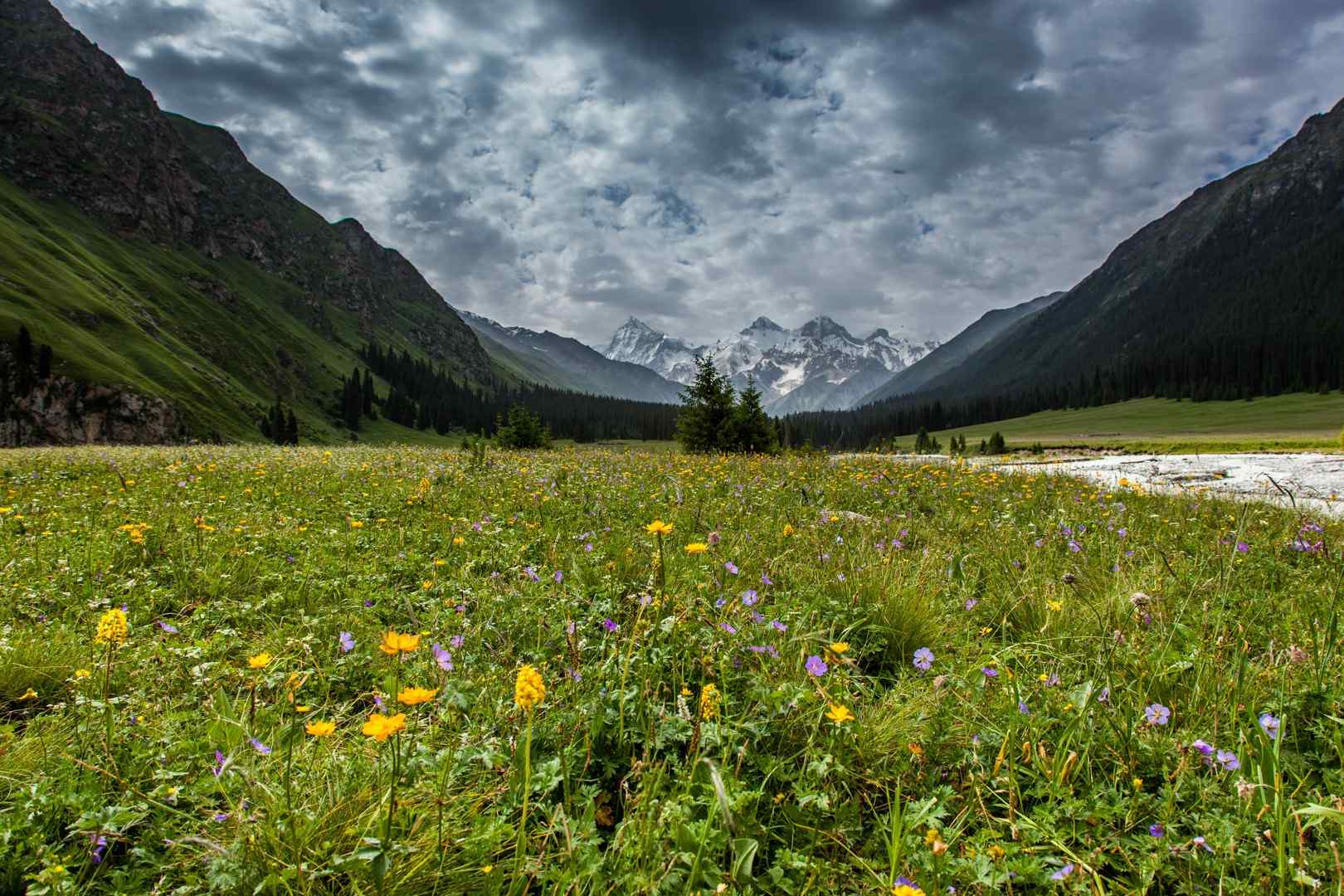 天山山谷优美的自然风景图片桌面壁纸