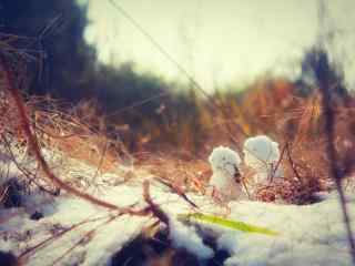 冬日森林里可爱的小雪人桌面壁纸