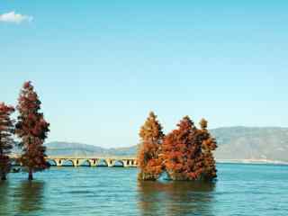 洱海唯美湖边风景图片桌面壁纸