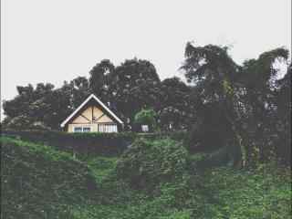 鼓浪屿特色小屋图片桌面壁纸