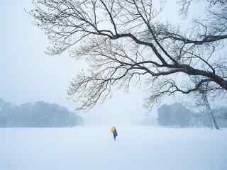 唯美日本雪景图片高清桌面壁纸