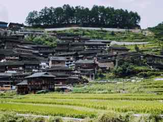 好看的小清新山水田园风光