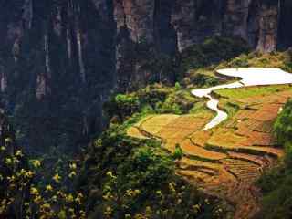 空中田园风景图片