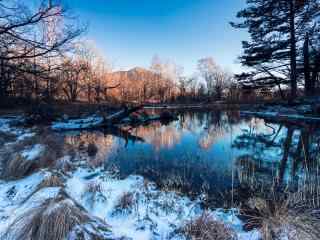 美丽树林里的雪景图片高清桌面壁纸