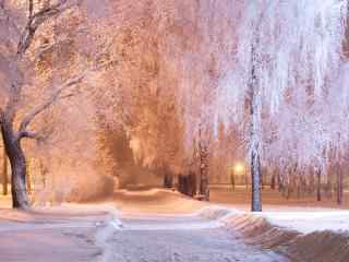 唯美雪景图片高清桌面壁纸