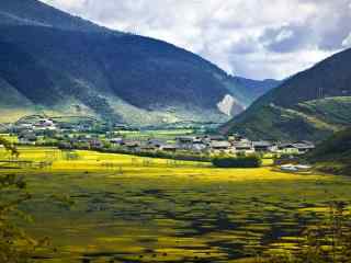 美丽的丽江茶马古道马场风景图片