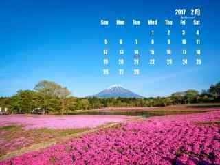 2017年2月日历之富士山下的花海图片