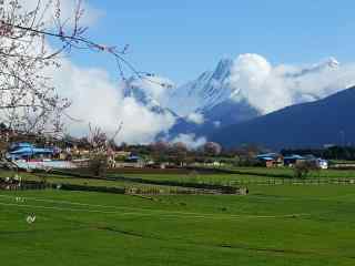 春天雪山与樱花图片桌面壁纸