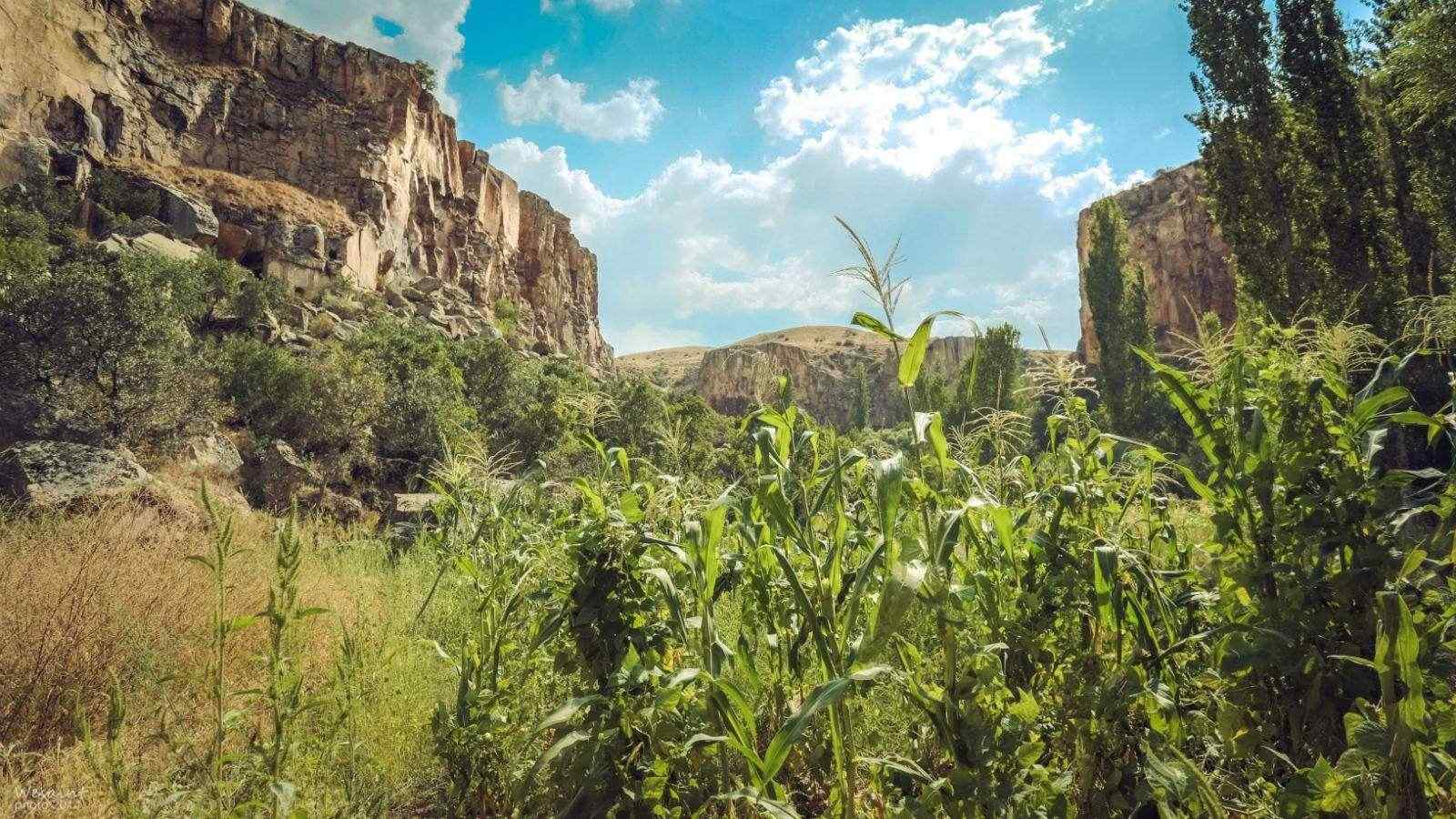 河谷秀丽风景高清桌面壁纸