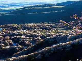 美丽河谷鲜花风景高清桌面壁纸