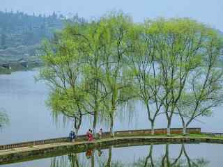 清明节-小清新护眼清明风景壁纸