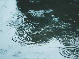 春日踏青唯美雨水风景图片