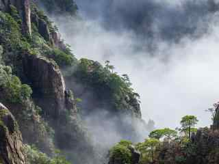 黄山悬崖峭壁的景象桌面壁纸