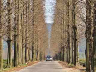 秋日里的莫干山公路桌面壁纸