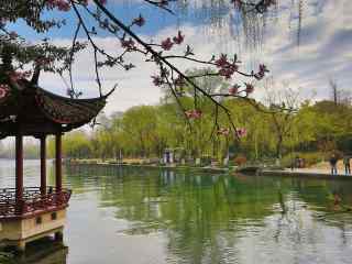 谷雨习俗-走谷雨风景壁纸