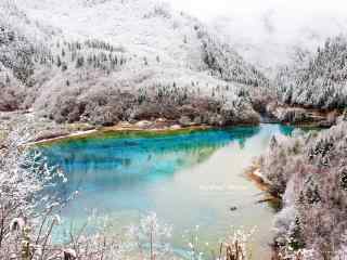 九寨沟冬日五花海风景壁纸