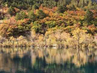 九寨沟五花海唯美秋日风景图片