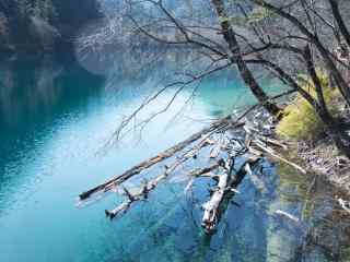 九寨沟冬日唯美风景壁纸