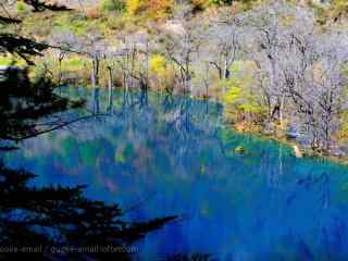 九寨沟五花海唯美风景壁纸