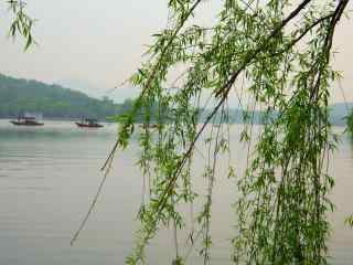 春日烟雨江南风景高清壁纸