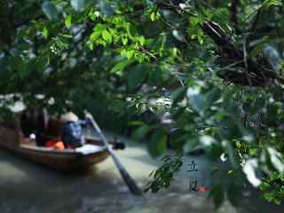 2017年立夏清新风景桌面壁纸